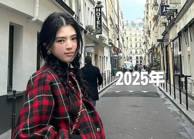 ハンソヒの整形検証画像