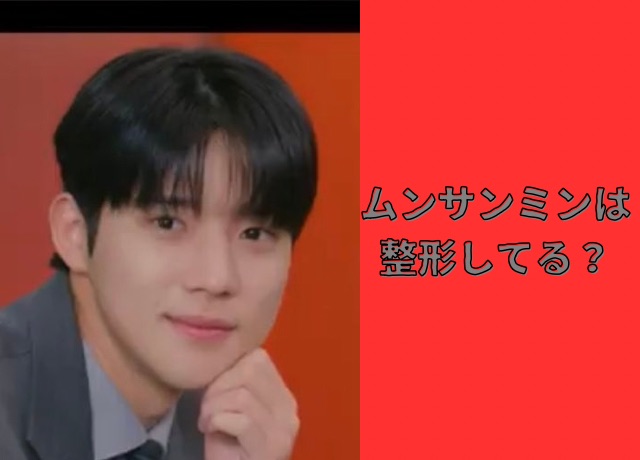 ムンサンミンは整形してるの？