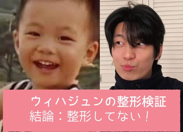 ウィハジュンの整形検証