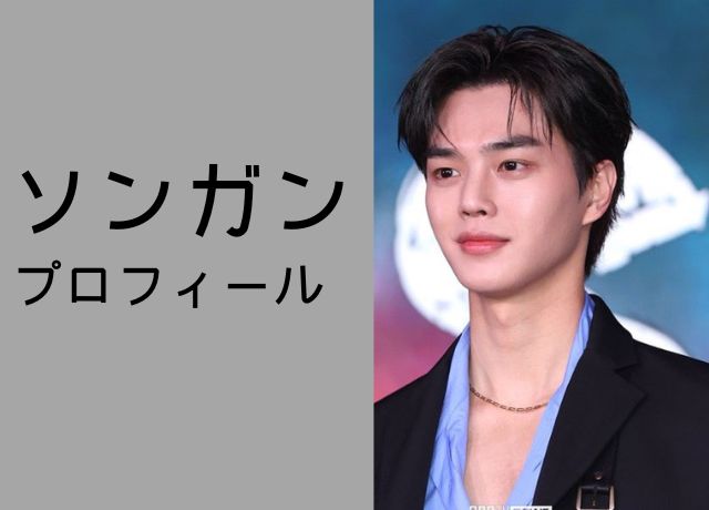 ソンガンのプロフィール