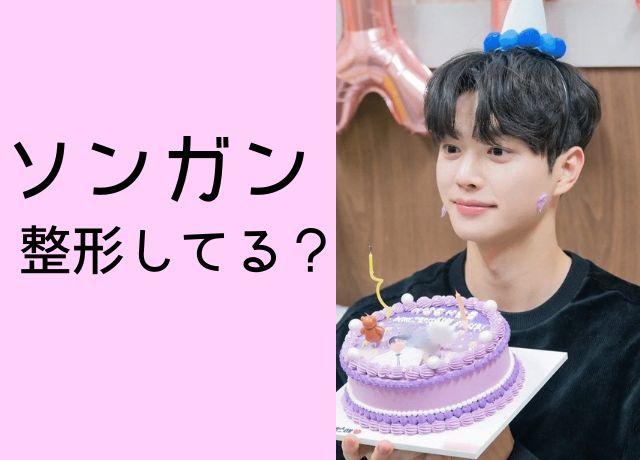 ソンガンは整形してる?