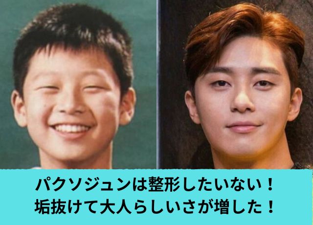 パクソジュンの整形検証画像