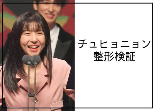 チュヒョニョンの整形検証画像