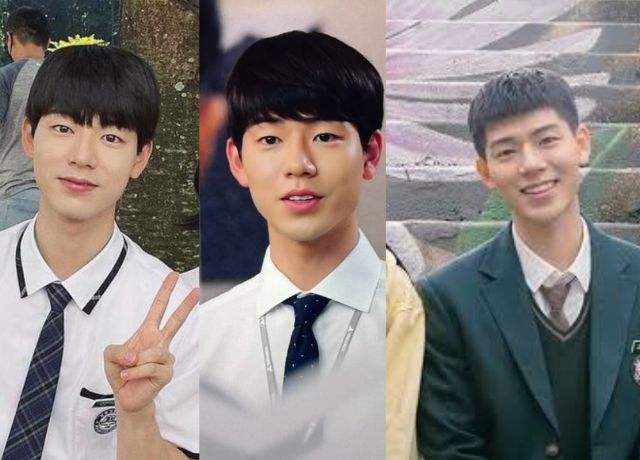 ペヒョンソンの整形検証画像