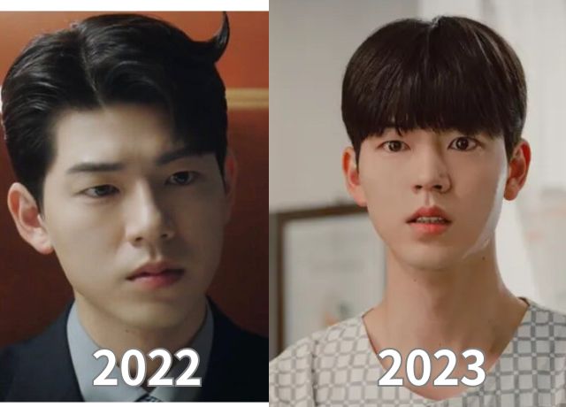 ペヒョンソンの整形検証画像