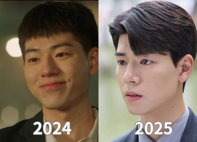 ペヒョンソンの整形検証画像