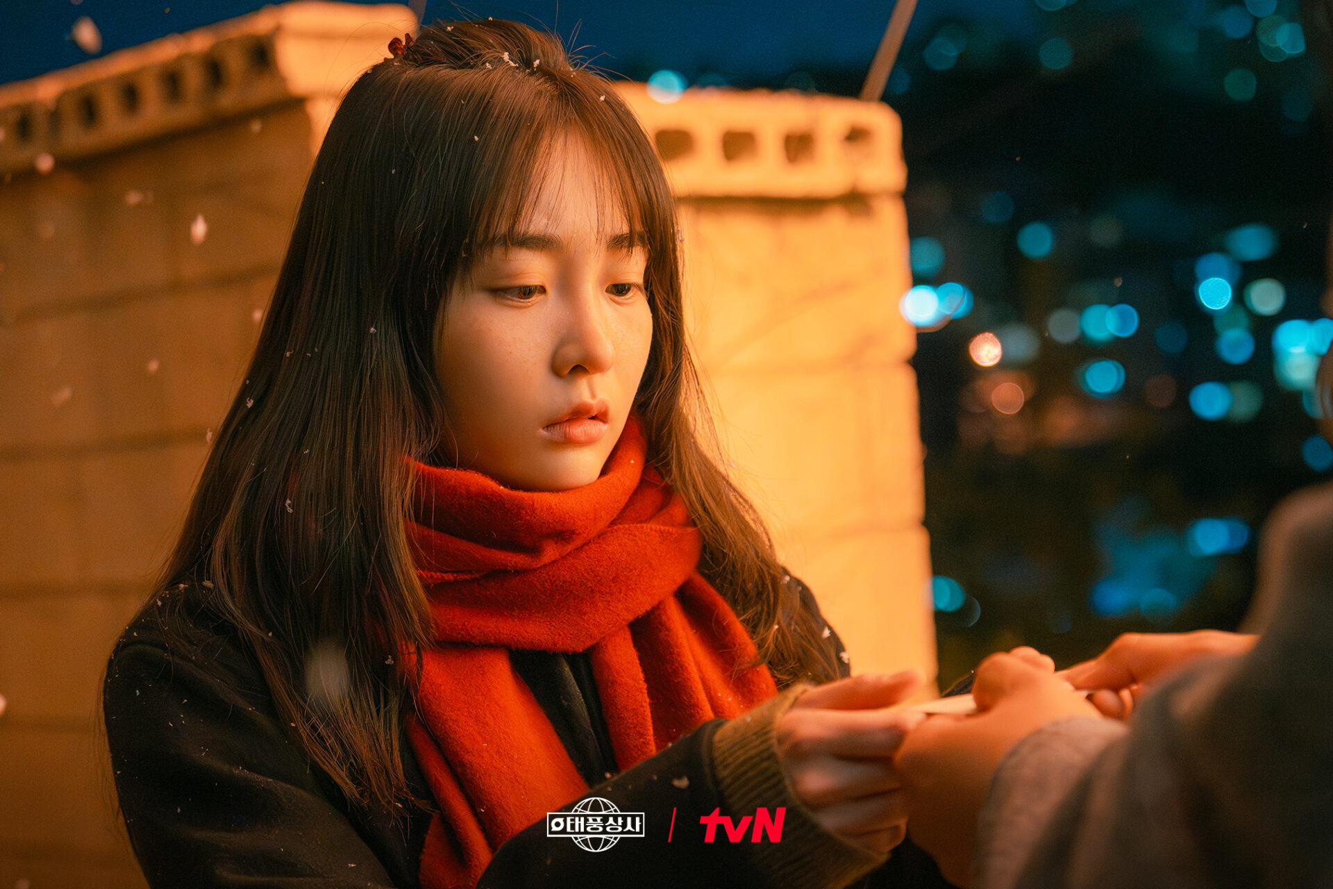 テプン商事公式画像