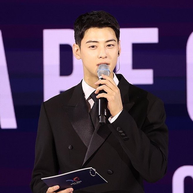 兵役中の軍任務中のチャウヌ