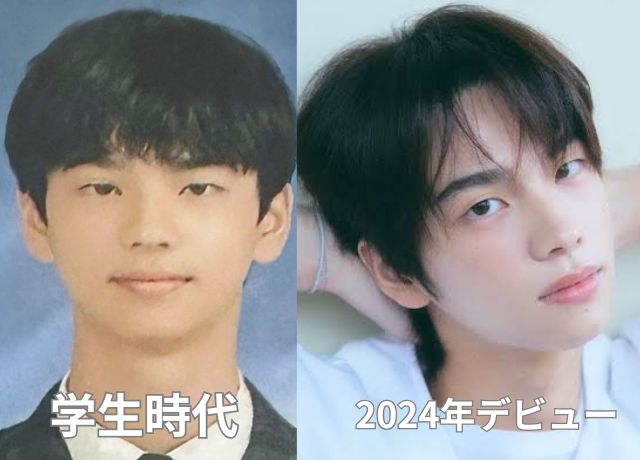 TWSシニュの整形検証画像