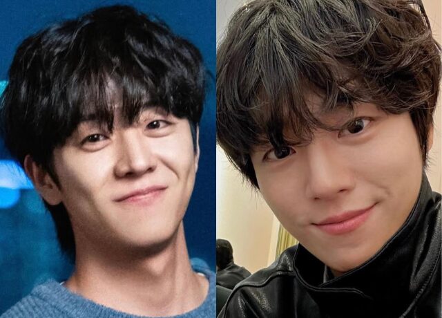 チェジョンヒョプとイ・ヒョヌの比較画像