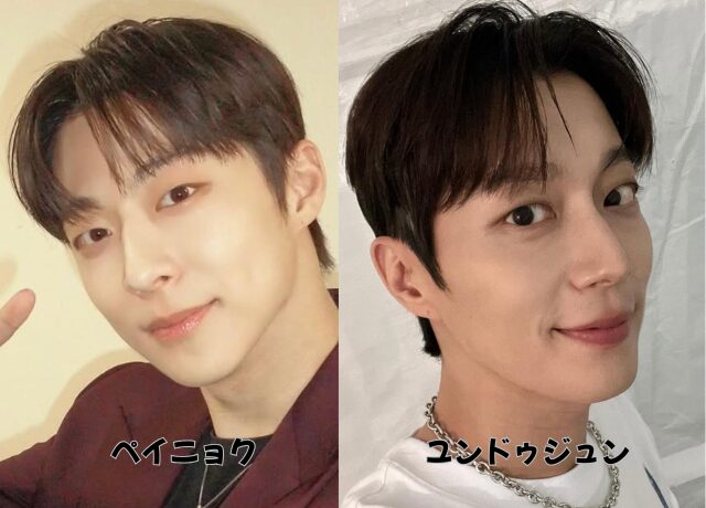 ユン・ドゥジュンとペイニョクの比較画像