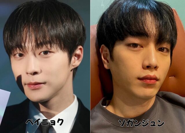 ペイニョクとソ・ガンジュンの比較画像