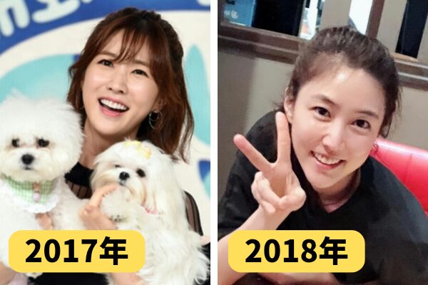 2017年から2018年